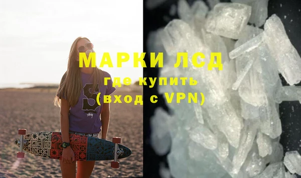 гашик Новозыбков
