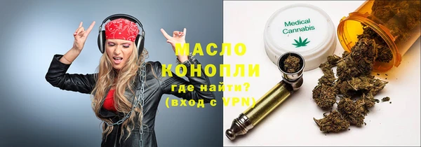 гашик Новозыбков