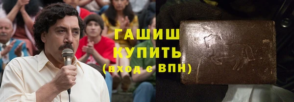 гашик Новозыбков