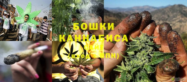 шишки Нефтегорск