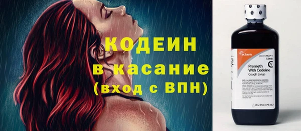 гашик Новозыбков