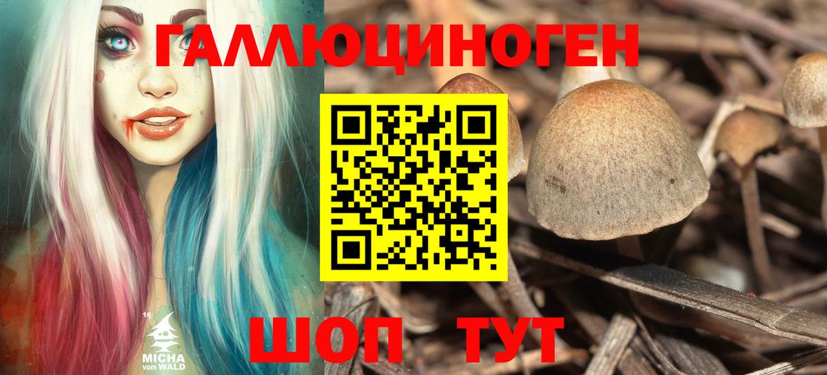 Псилоцибиновые грибы мухоморы Миллерово